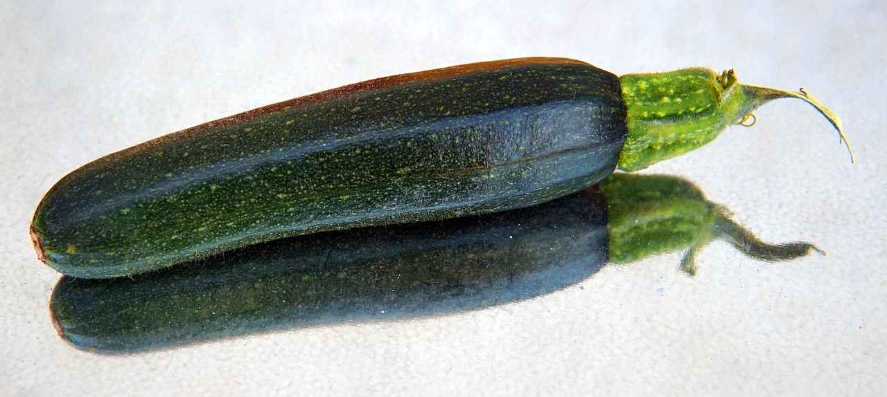 Zucchine grigliate su una griglia con spezie e olio, pronte per essere servite.