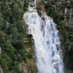 Cascate mozzafiato in Trentino, circondate da natura verde e paesaggi incantevoli.