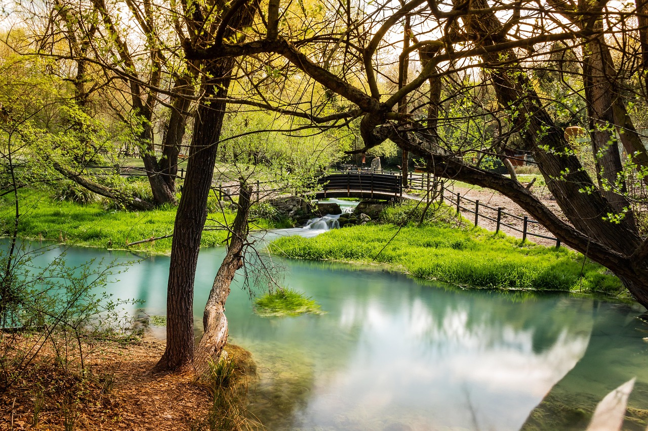 Oasi naturale laziale, con vegetazione lussureggiante e acque cristalline, simbolo di bellezza italiana.